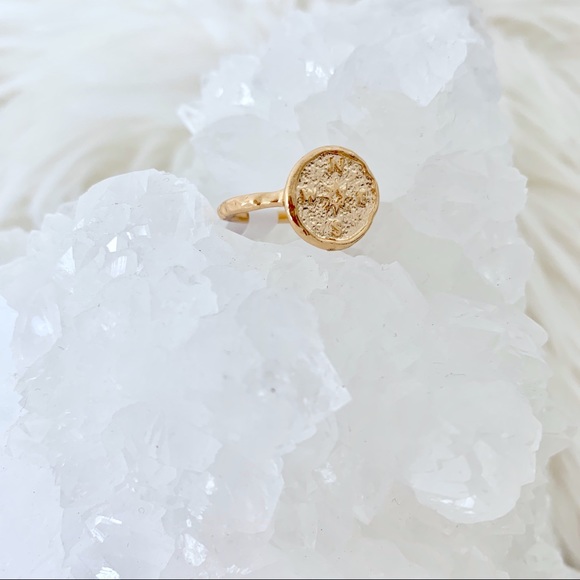 RESTOCKED NSEW compass ring in gold - Picture 6 of 8